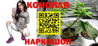 мяу мяу мука Апшеронск