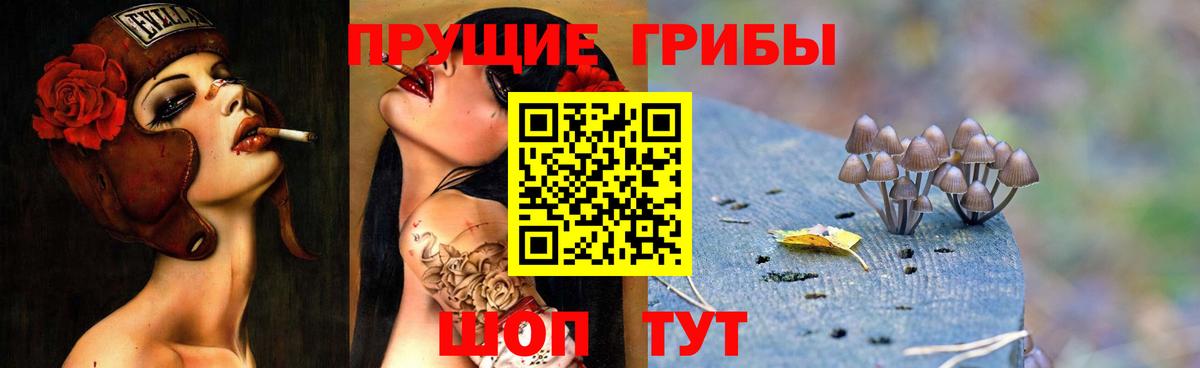 Псилоцибиновые грибы мицелий Балаково