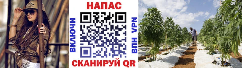 наркота Балаково Бошки Шишки THC 21%
